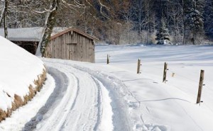 m Winter können Balkenmäher mit einem Schneeschieber bestückt werden, und sind somit auch im verschneiten Winter ein großer Helfer.